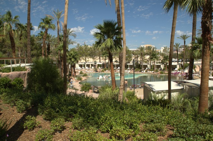 Hard Rock Hotel Pool Picture 1