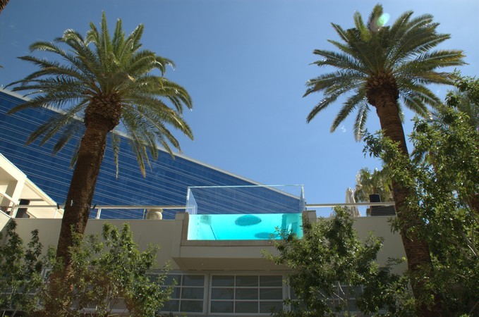 Hard Rock Hotel Pool Picture 7