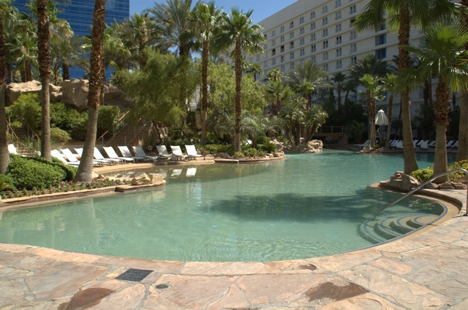 Hard Rock Hotel Pool Picture 9