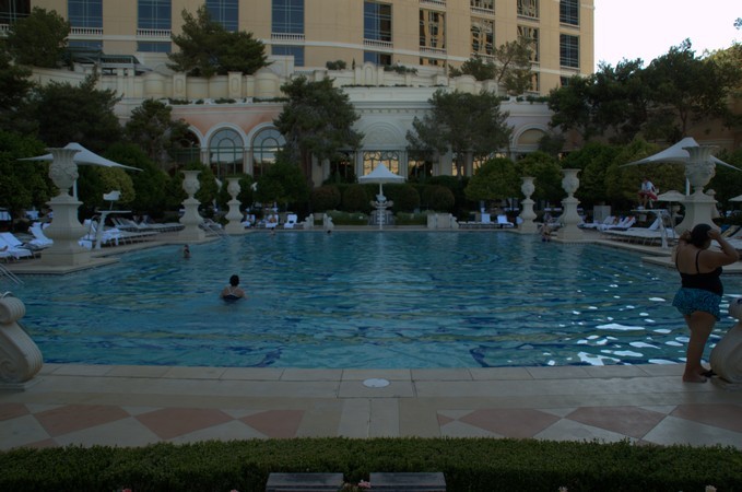 Bellagio Pool Pictures 2