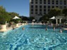 Bellagio Pool Pictures 6