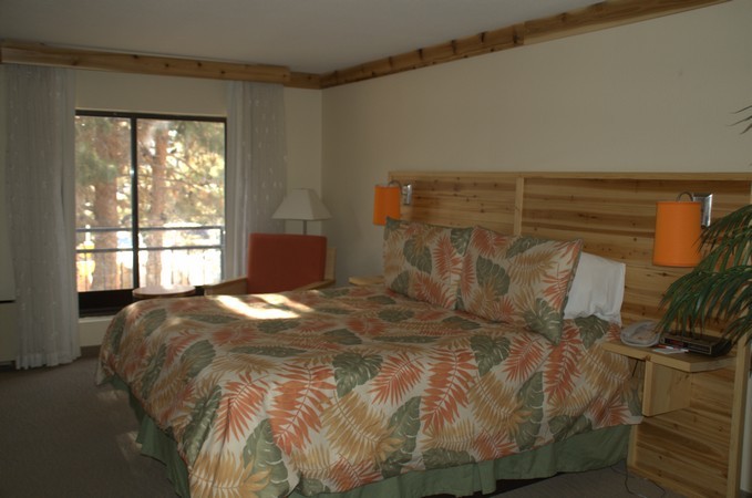 Hooters Hotel Room Pictures 2
