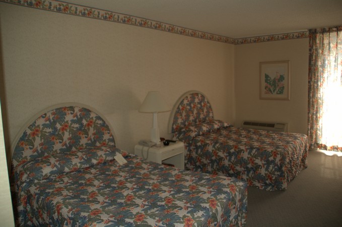 Imperial Palace Hotel Room Pictures 1