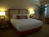 Tropicana Hotel Room Pictures 1